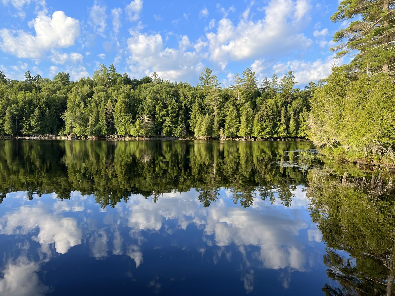 Saranac Lake Islands Campground Campsite 71 — from the gallery