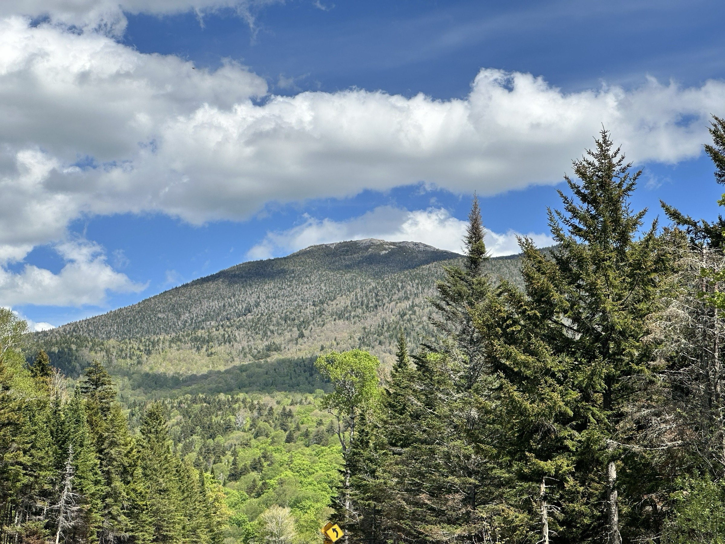 Looking up at Cascade's wooded slopes and bare summit ridge from the highway pull-off.