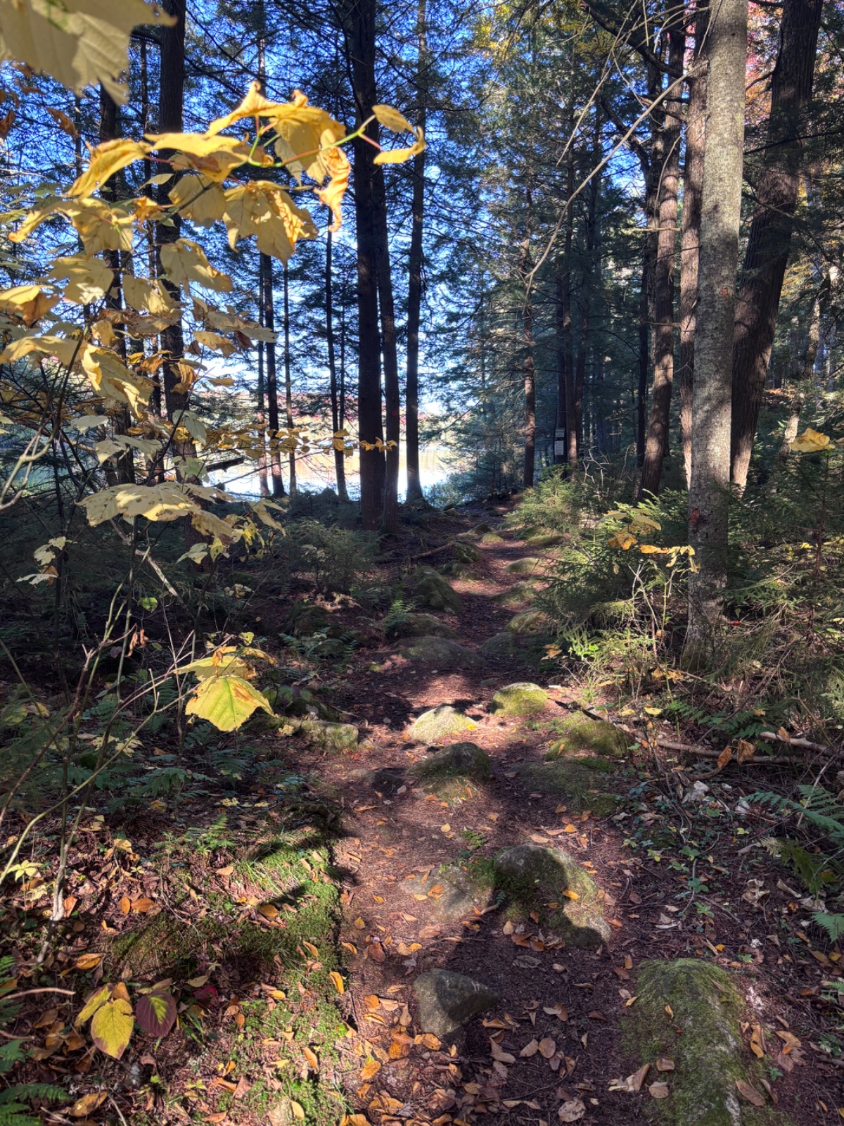 Sprague Pond Trail