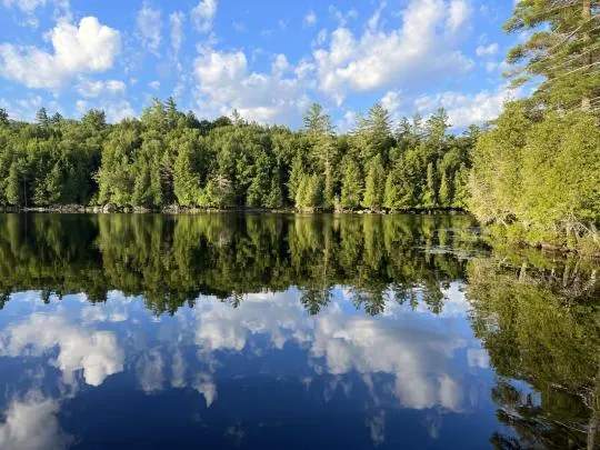 Saranac Lake Islands Campground - Campsite #77 — hero image