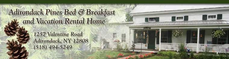 Adirondack Pines Bed & Breakfast — from the gallery