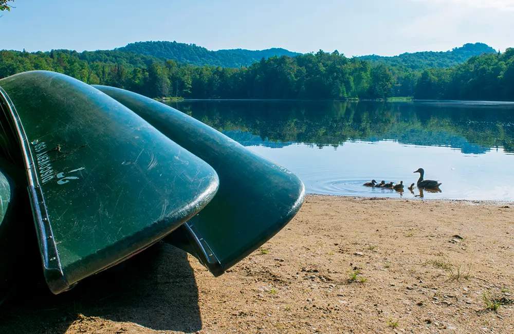 Old Forge Camping Resort — hero image