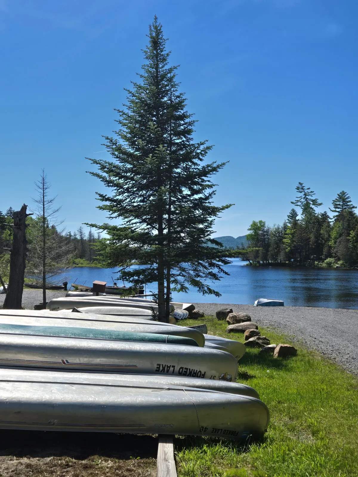 Forked Lake Campground