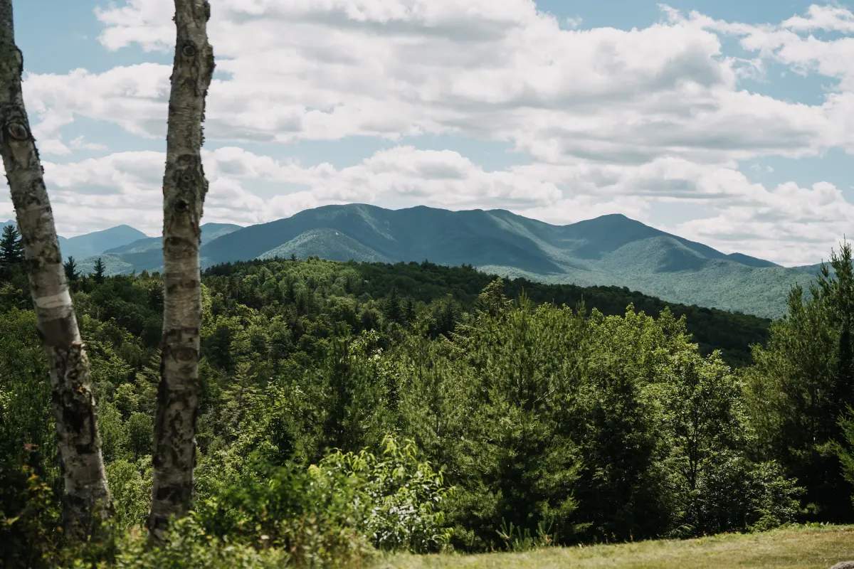 The Mountain House — hero image