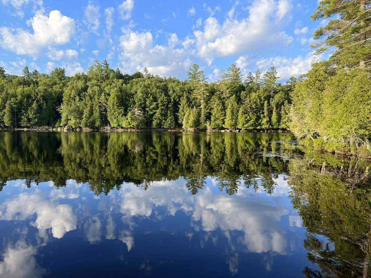 Saranac Lake Islands Campground - Campsite #74 — from the gallery