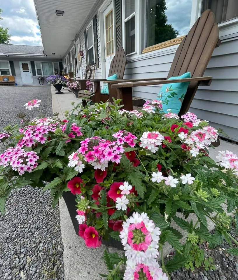 Park Motor Inn