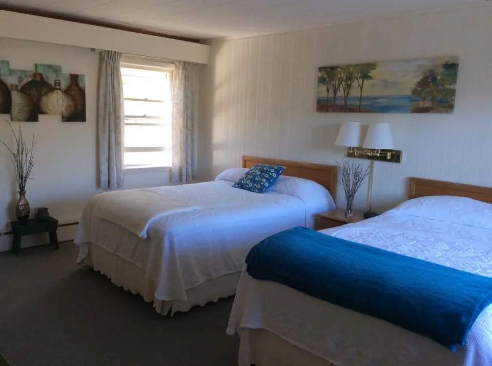 Park Motor Inn photo 5