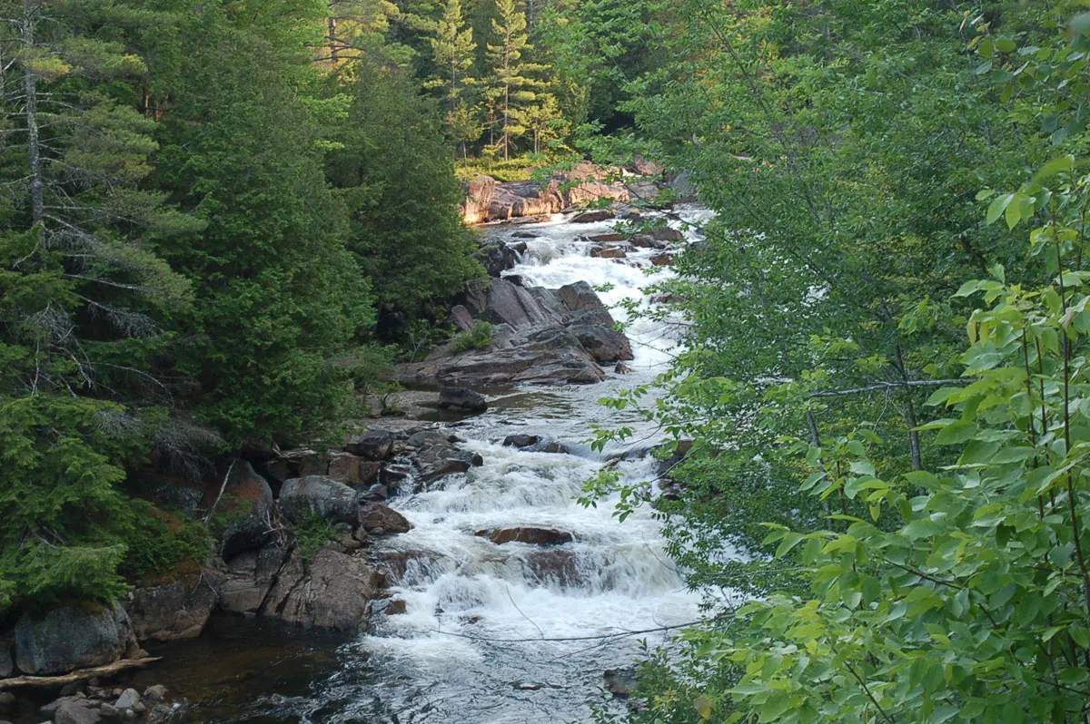 Blue Ridge Falls Campsites — hero image