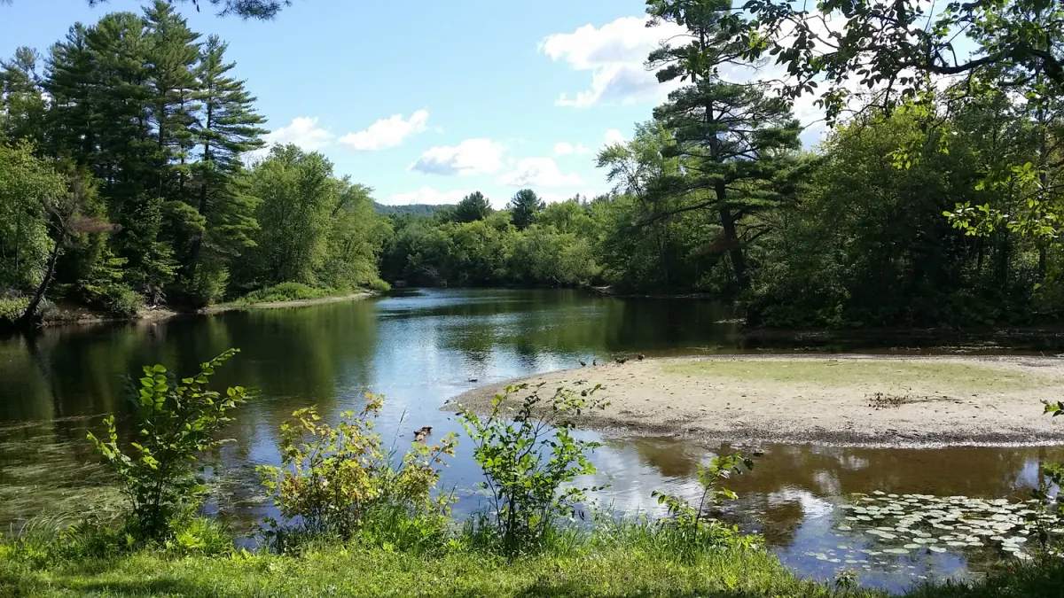 Lake George Riverview Campground — hero image
